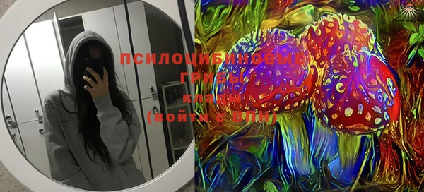 гидропоника Аркадак