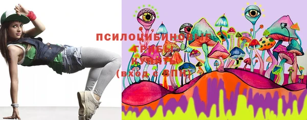 гидропоника Аркадак