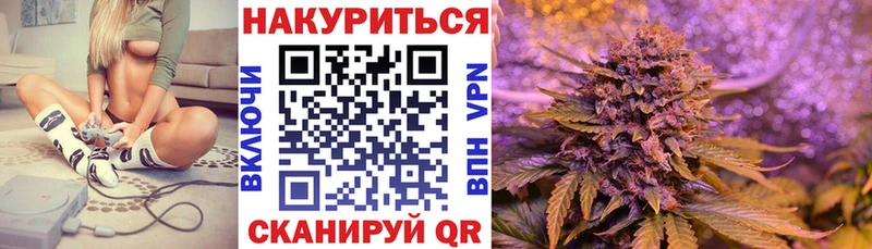 Шишки марихуана планчик  что такое   Островной 